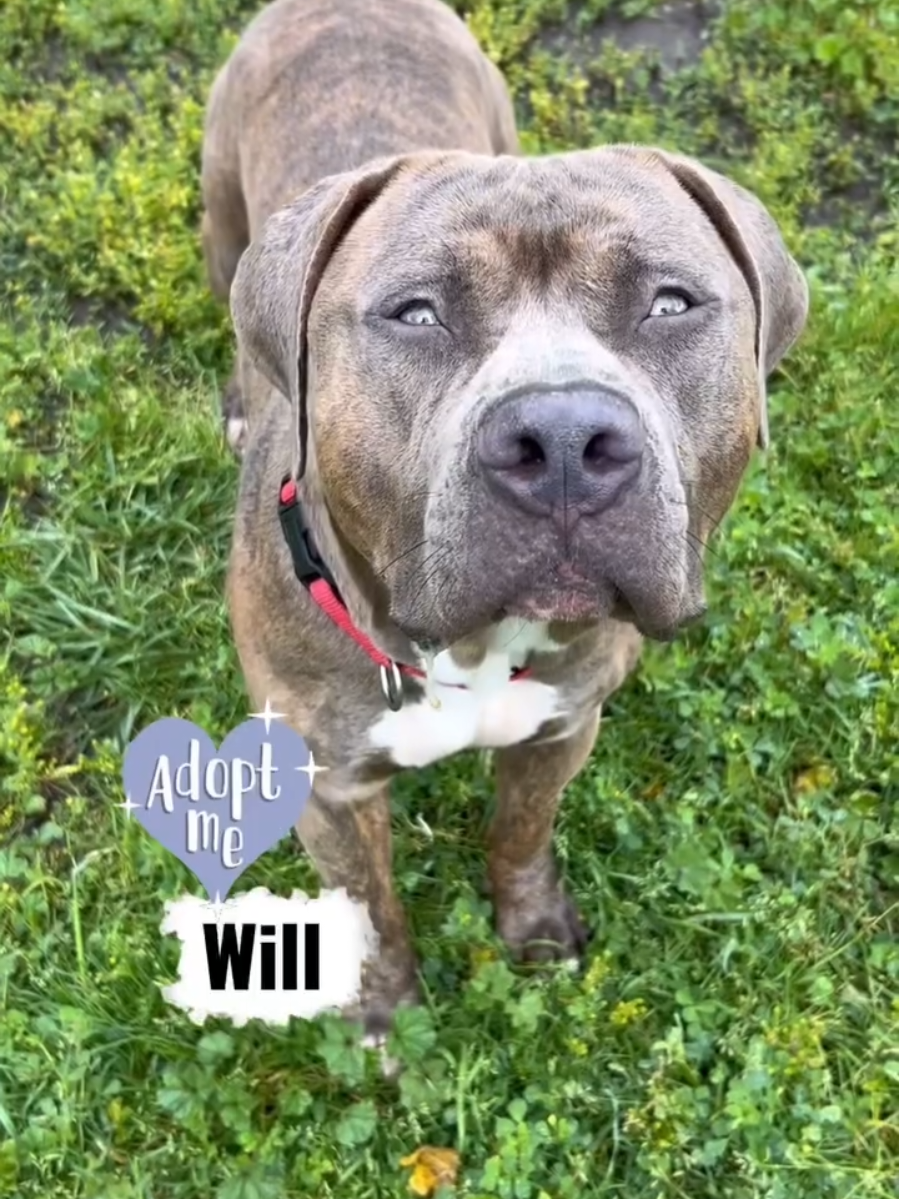 @Oakland Animal Services