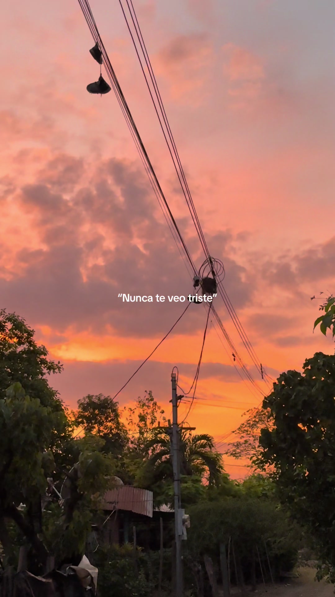 @el_piña🍍