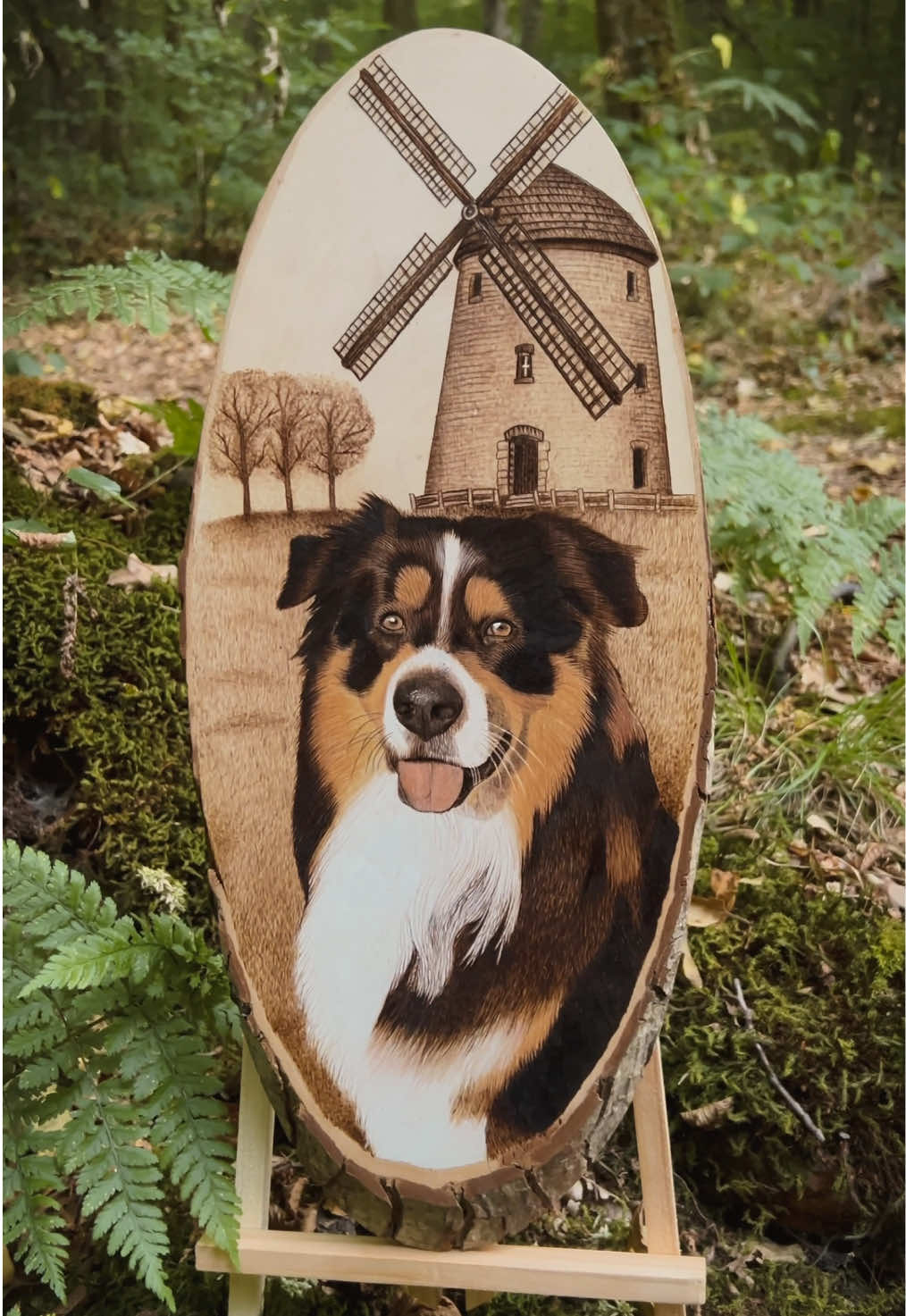 @SoWoodBurning
