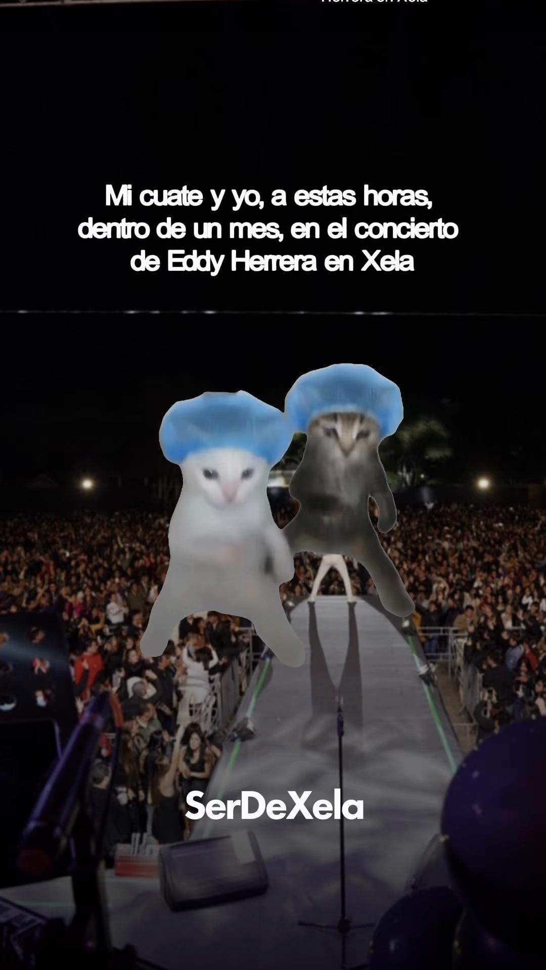 @Ser de Xela