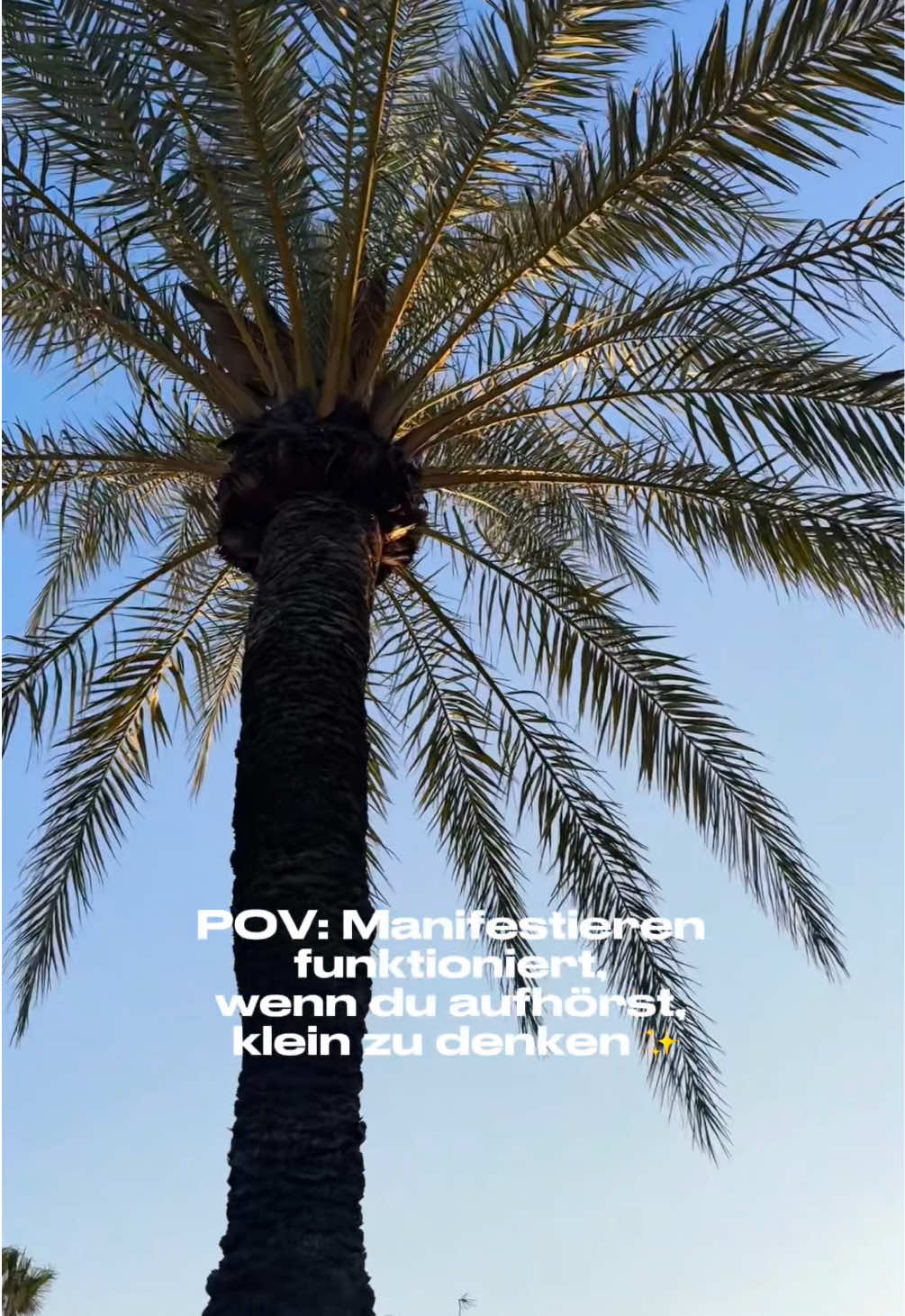 @sa.littleworld