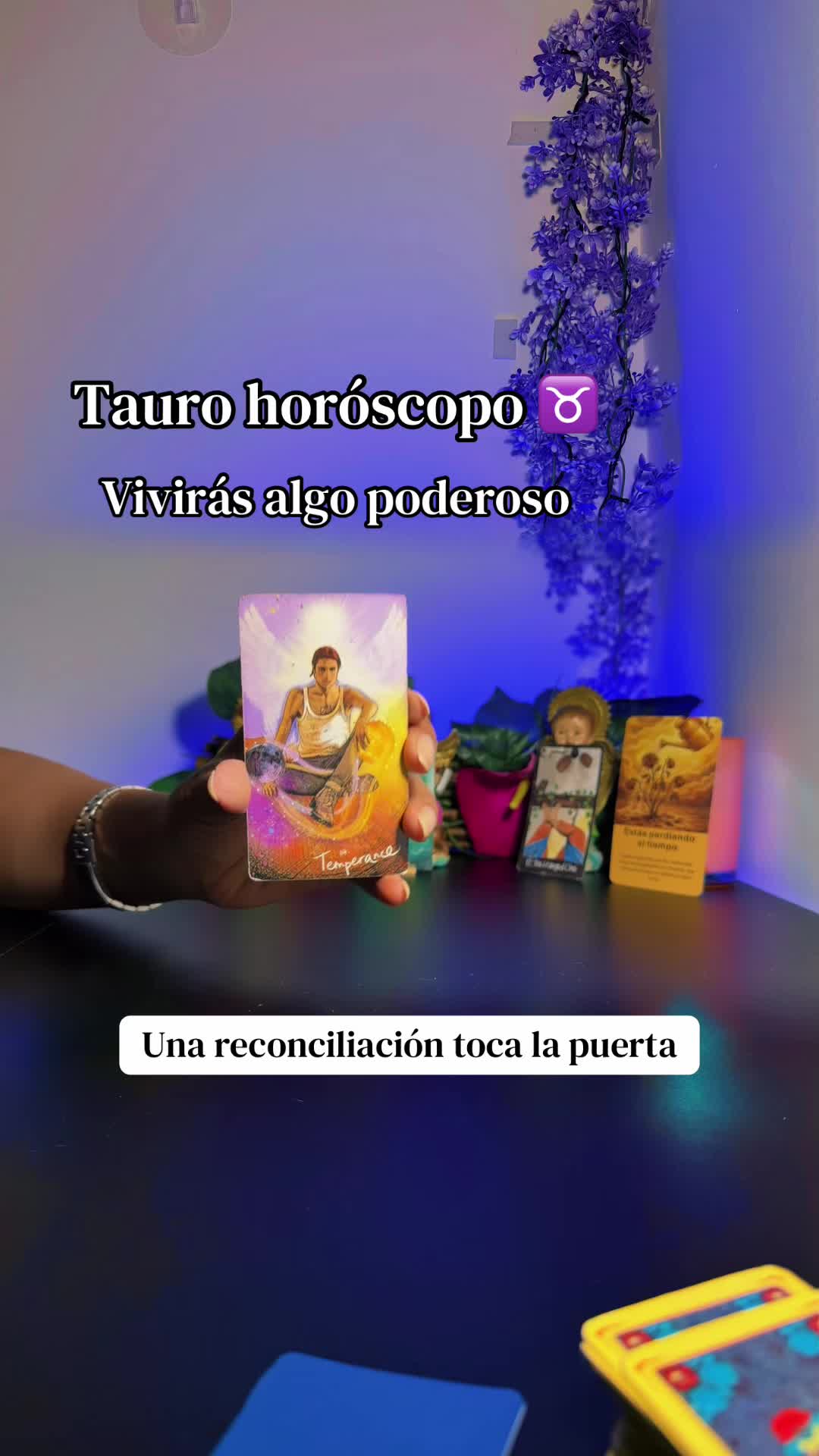 @camitarot77