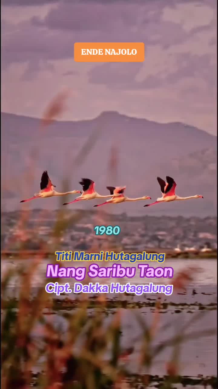 @Jhonni Panggabean, 16
