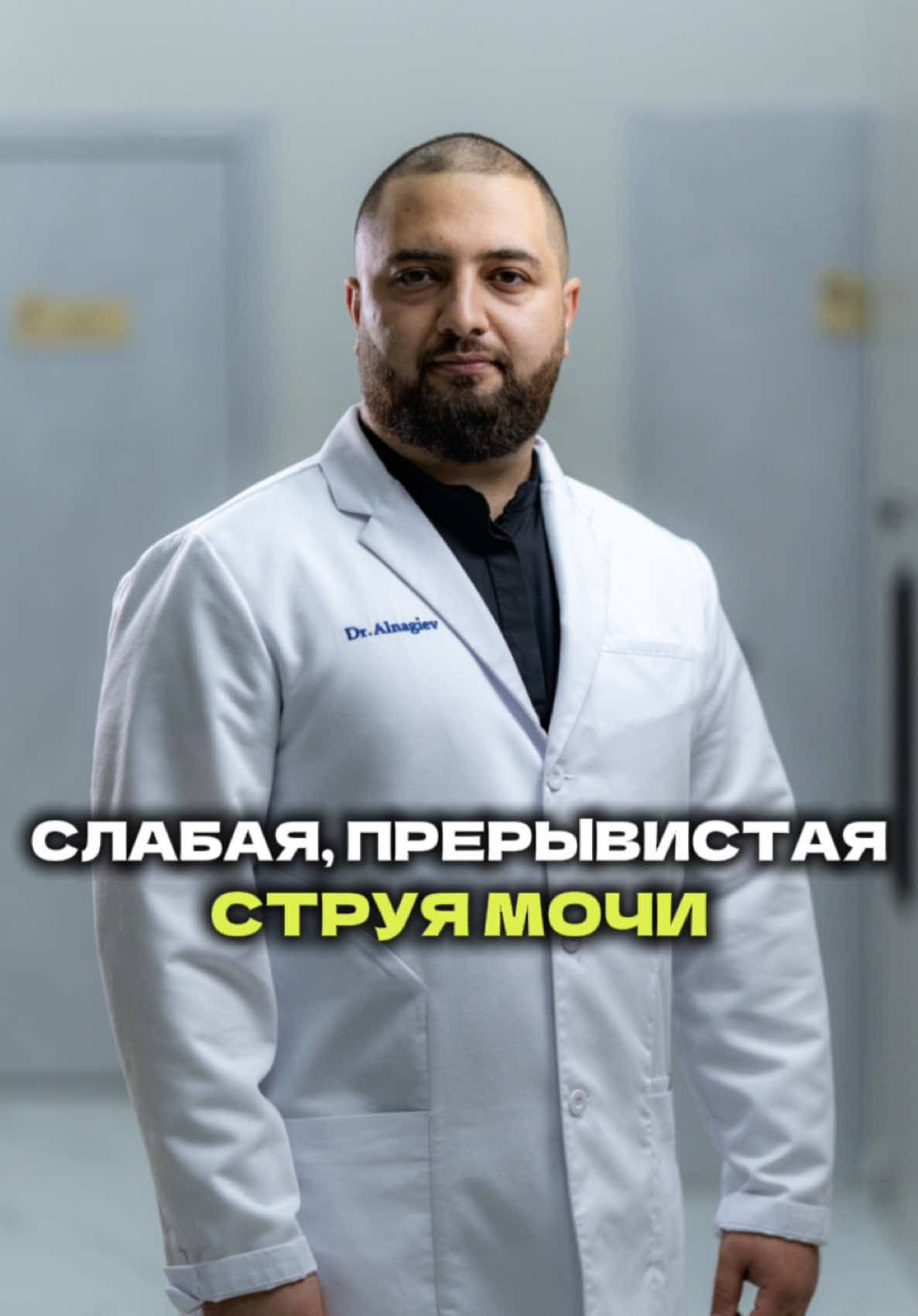@mediart.kz