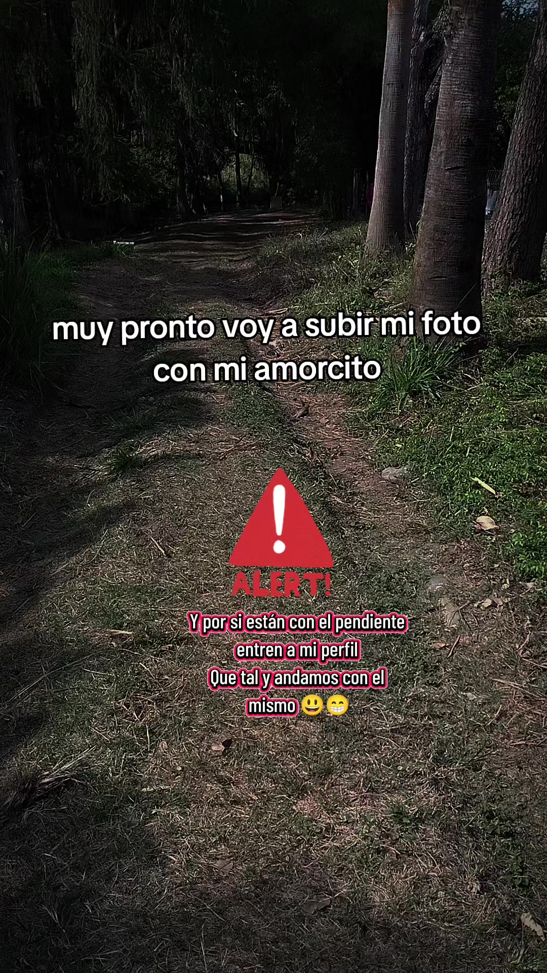 @vecky