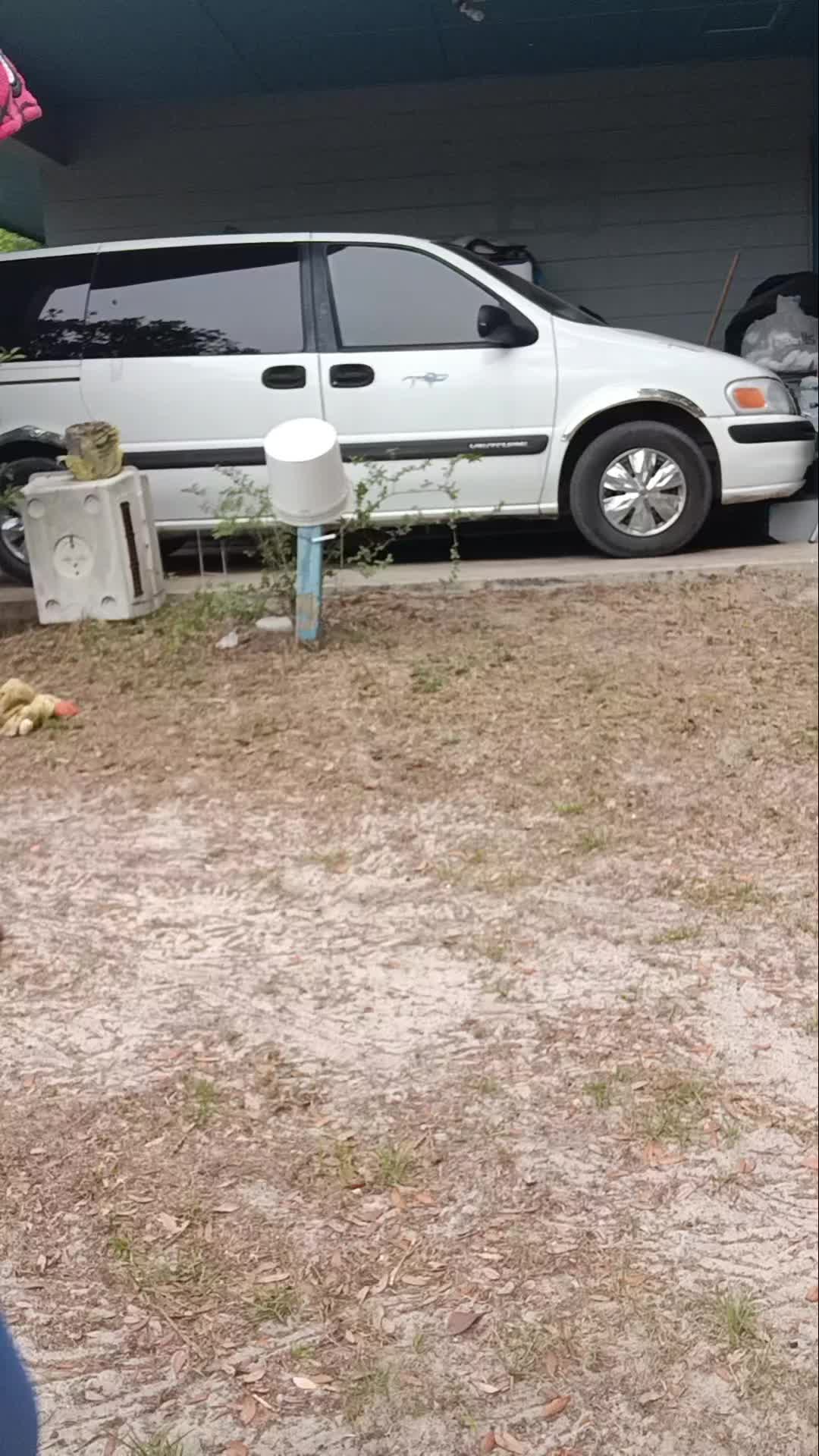 @Buck Buck Show