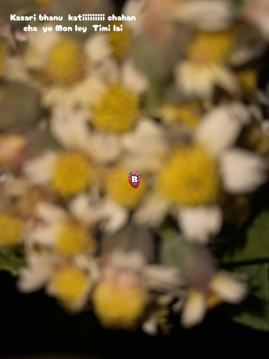 @2’3🚀