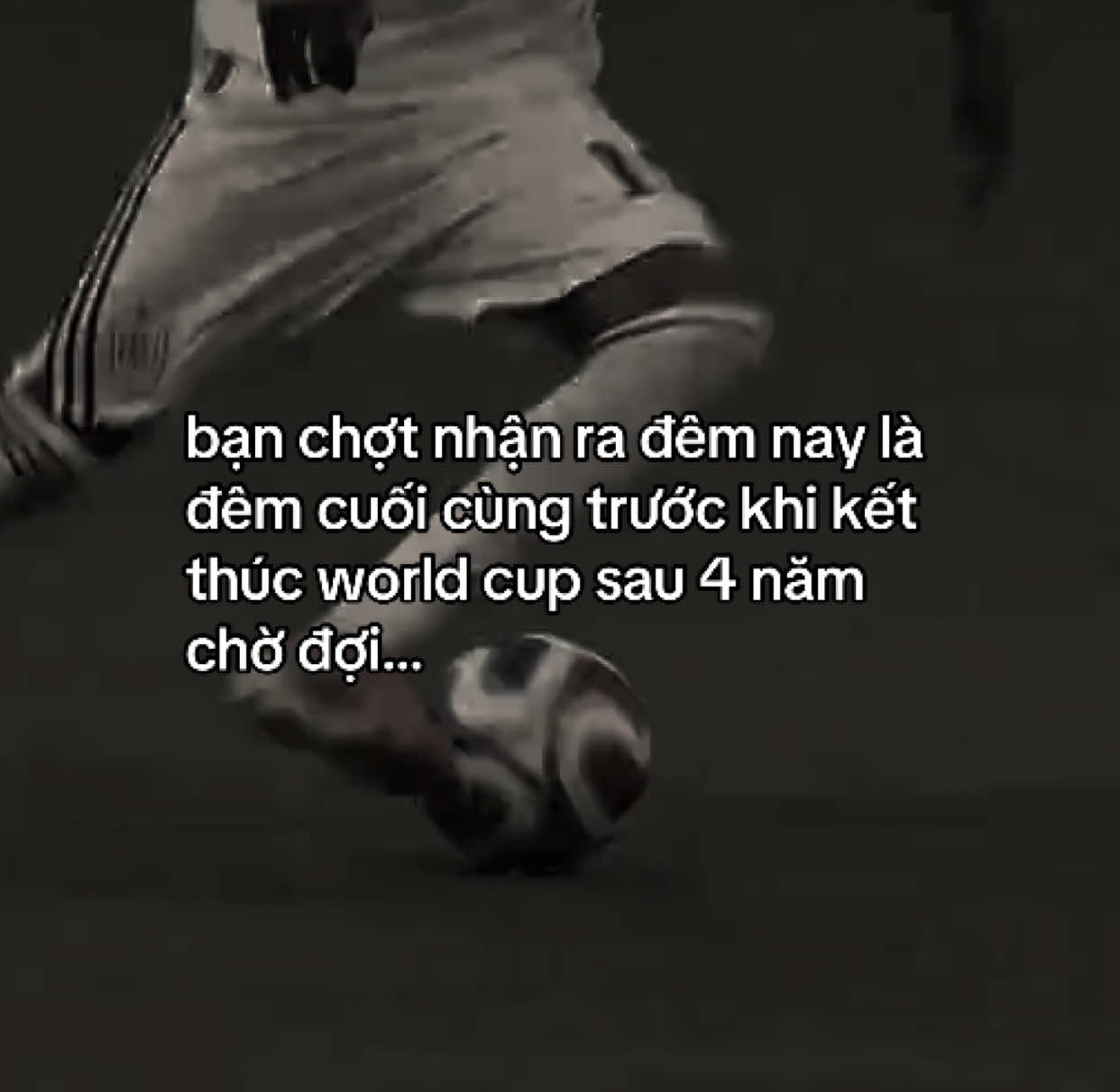 @BQuoc