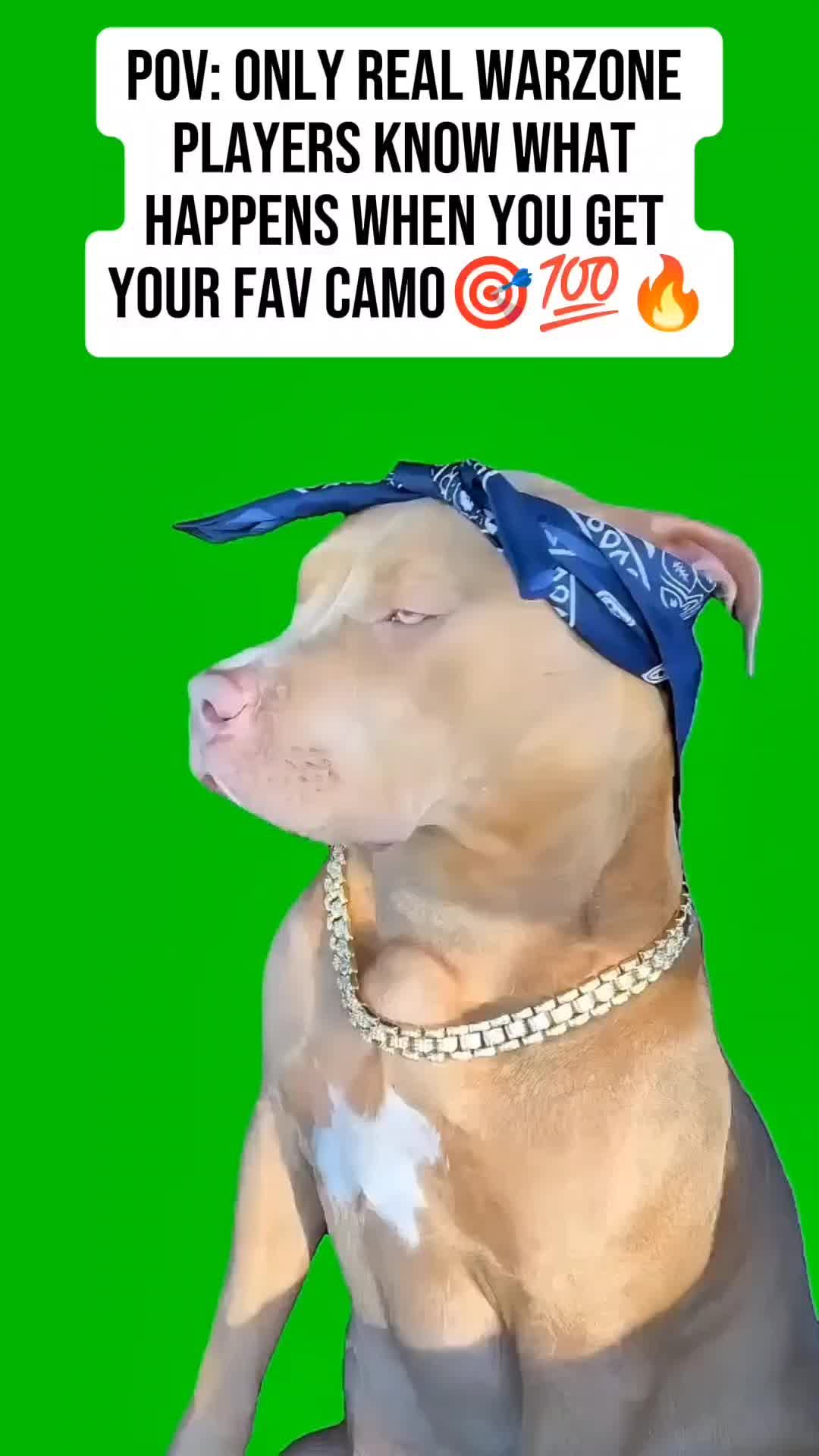 @ENDO
