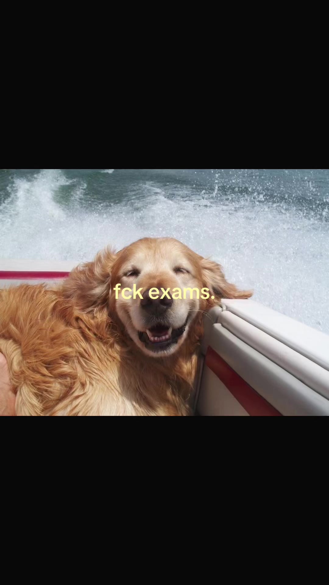 @saga