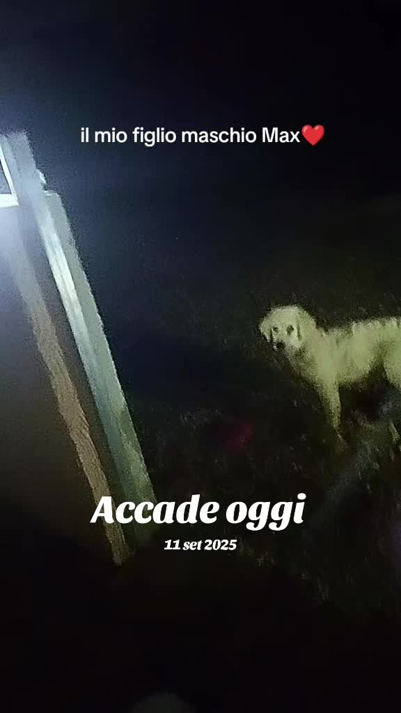 @Massimo Maldera