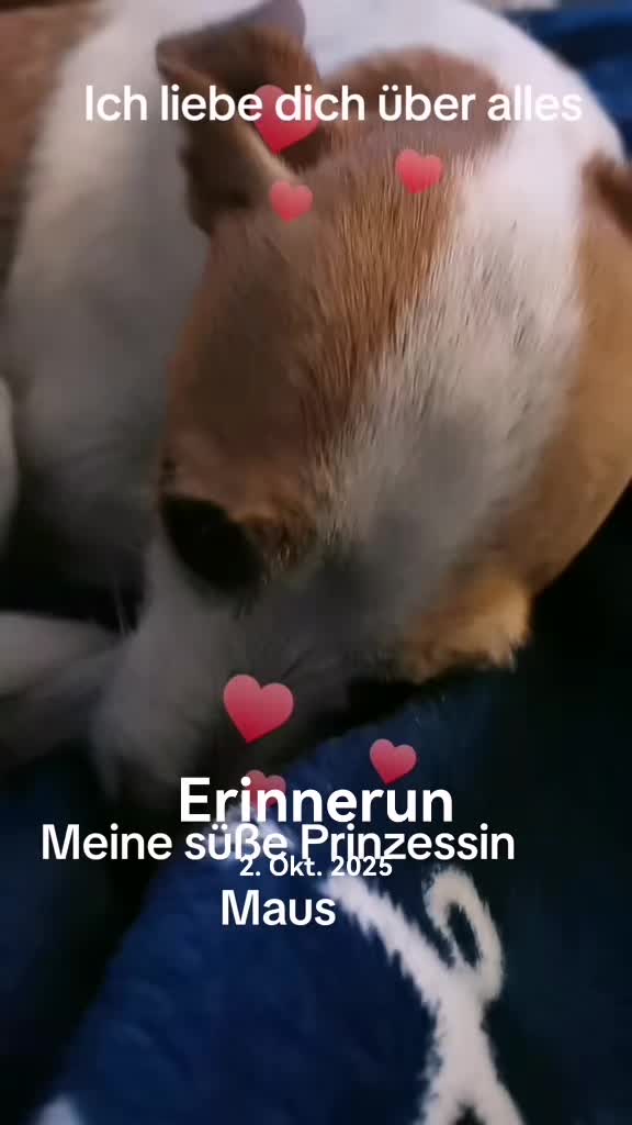 @Mausi❤️😘❤️