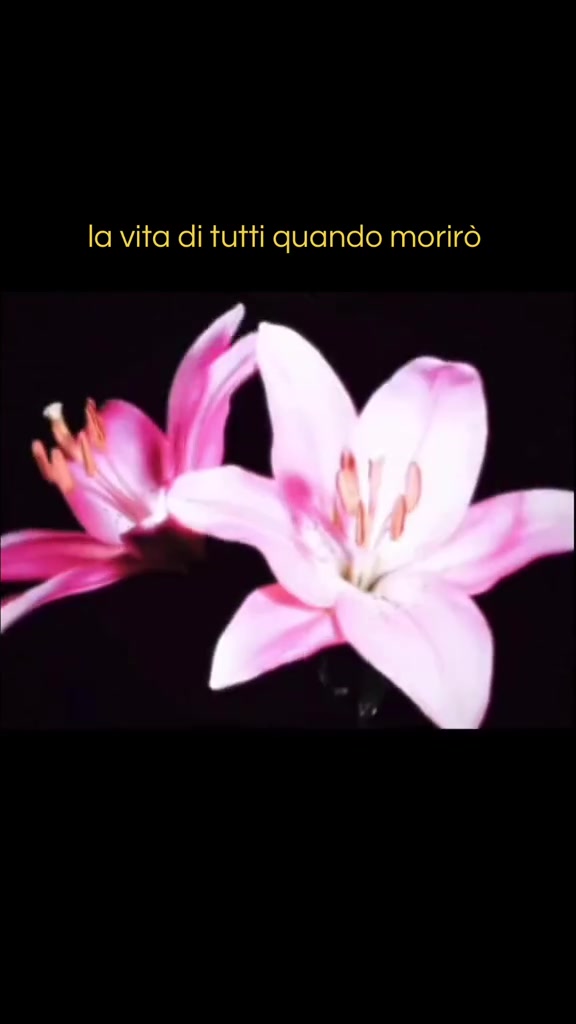 @accountsegreto