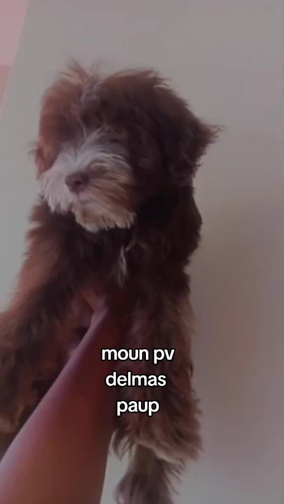@Bendog