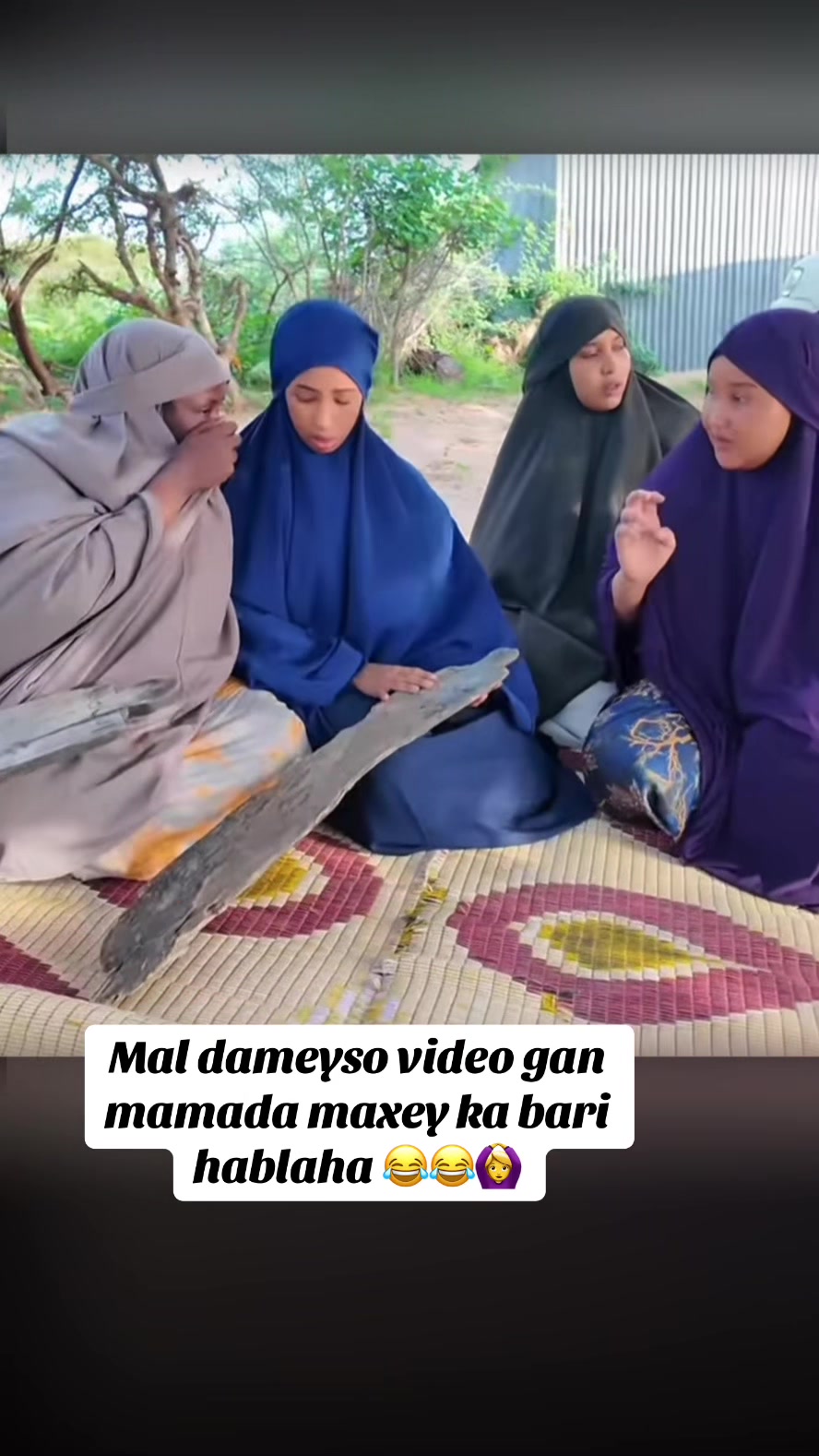 @Xanta waregto🚶♀️