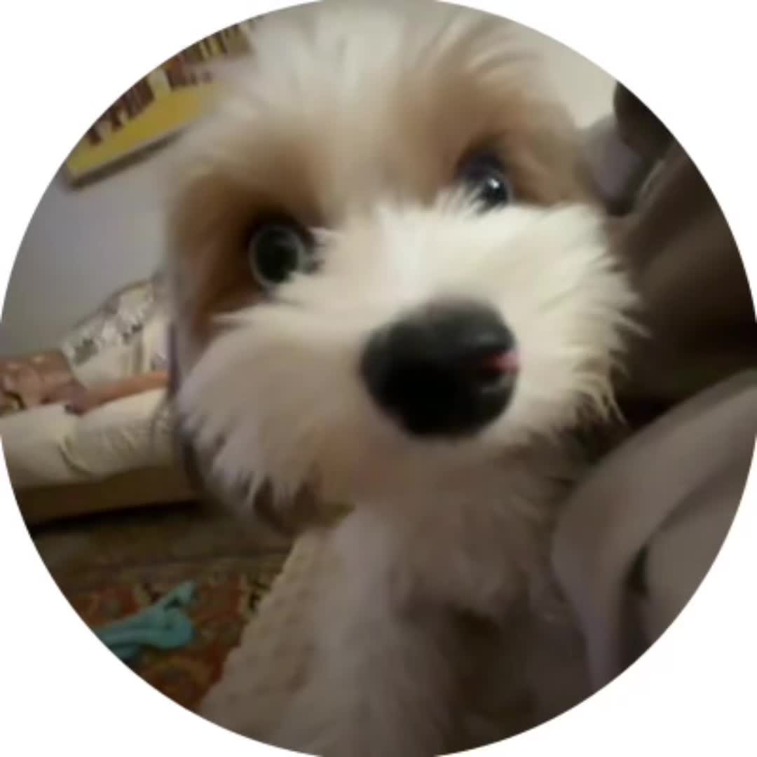 @херь