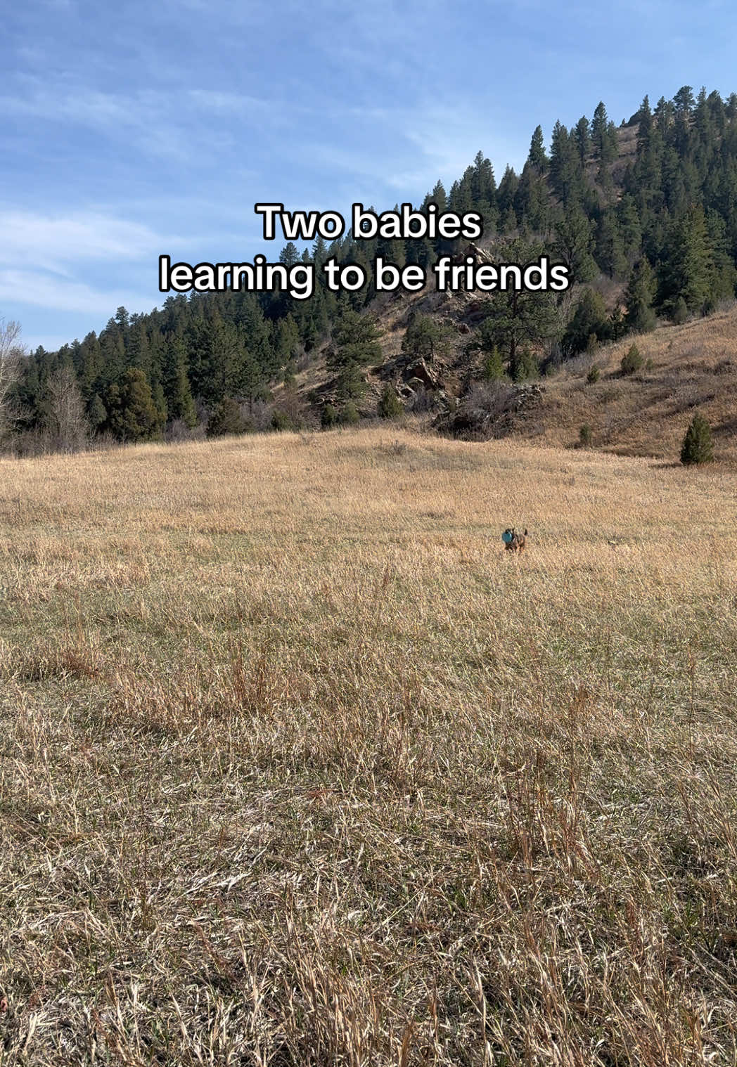 @Nat in Colorado