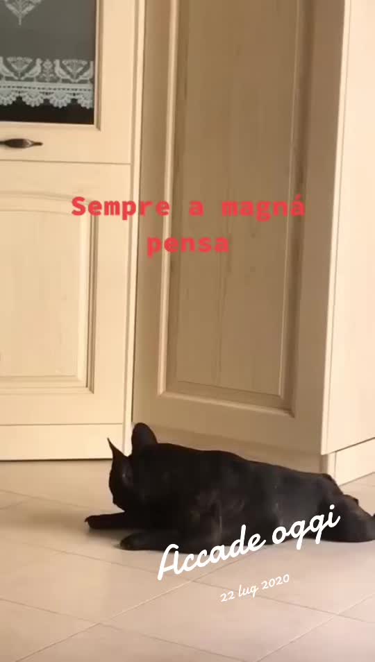 @Apolide