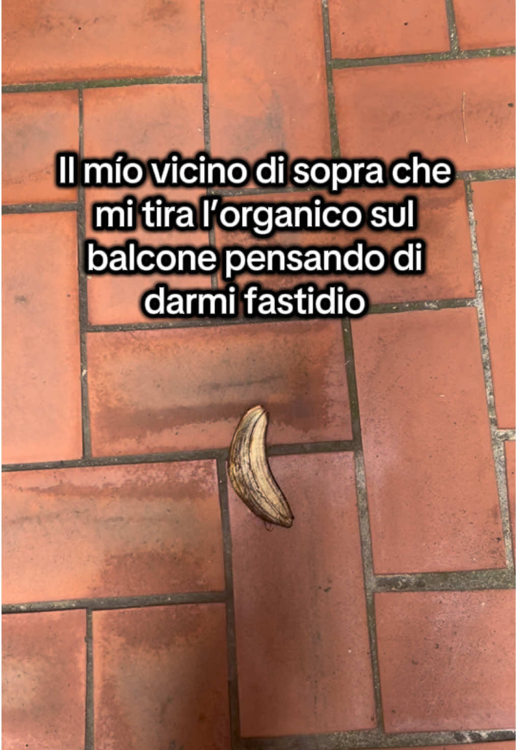 @_bianca_manera
