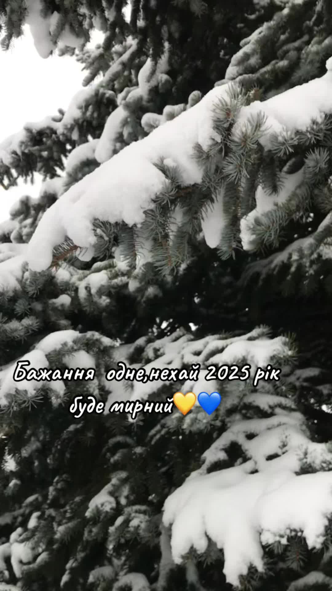 @🇺🇦Украіночка🇺🇦💙💛