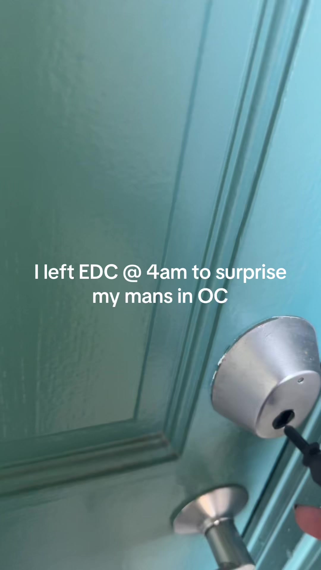 @sachistabs
