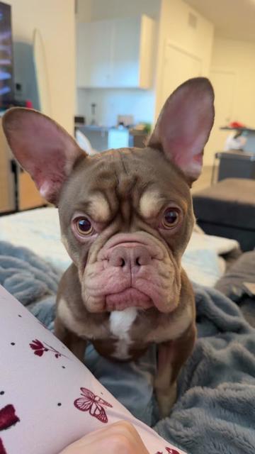@Brittany Dawson