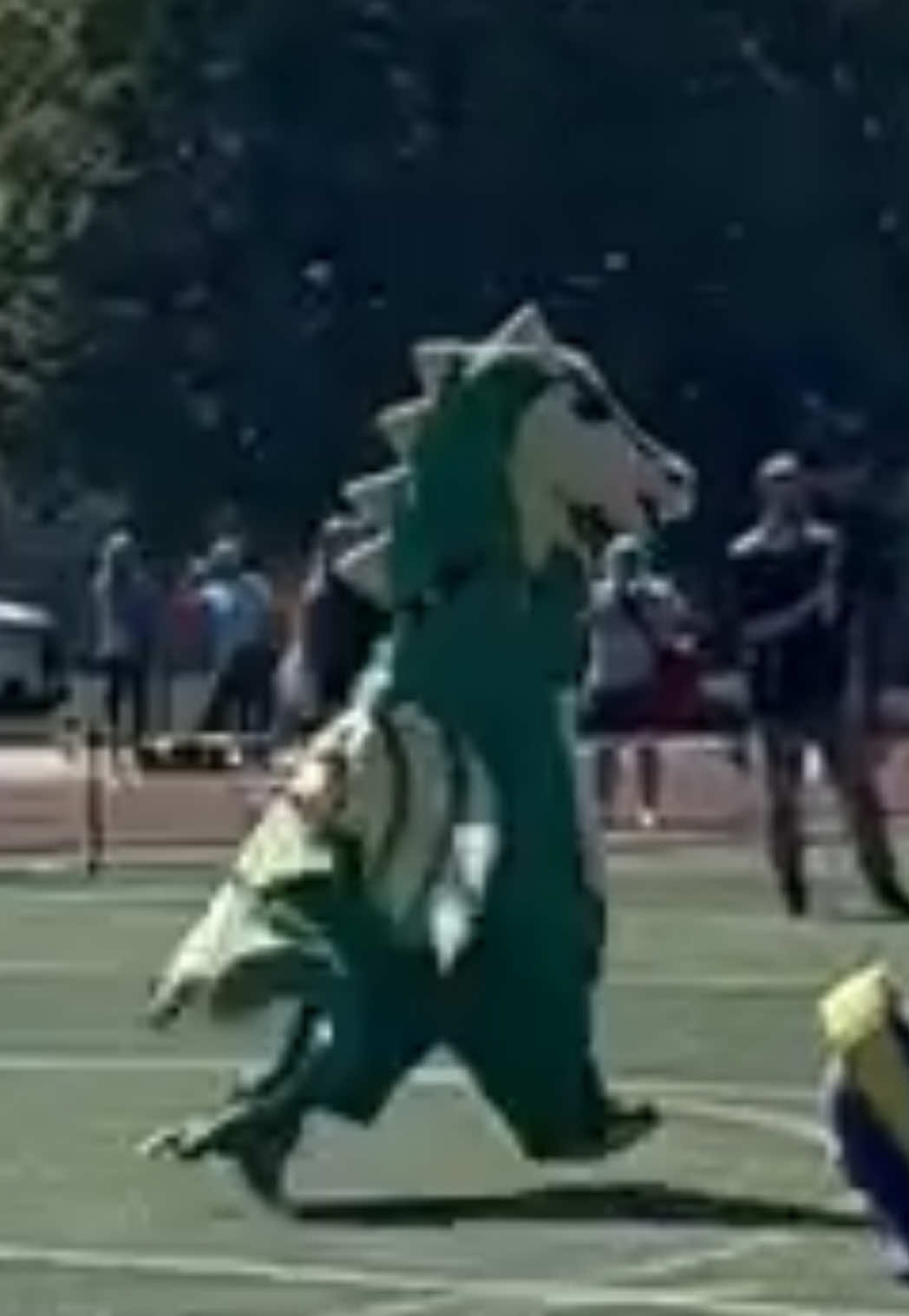 @SGHS mascot