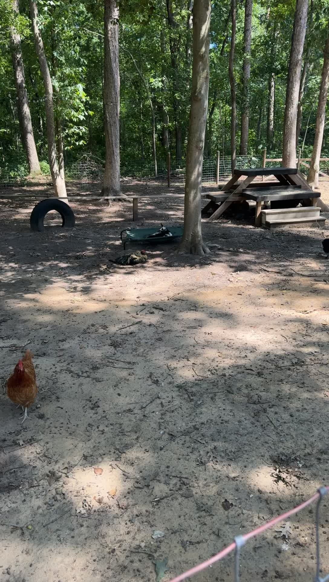 @whiteoakacres