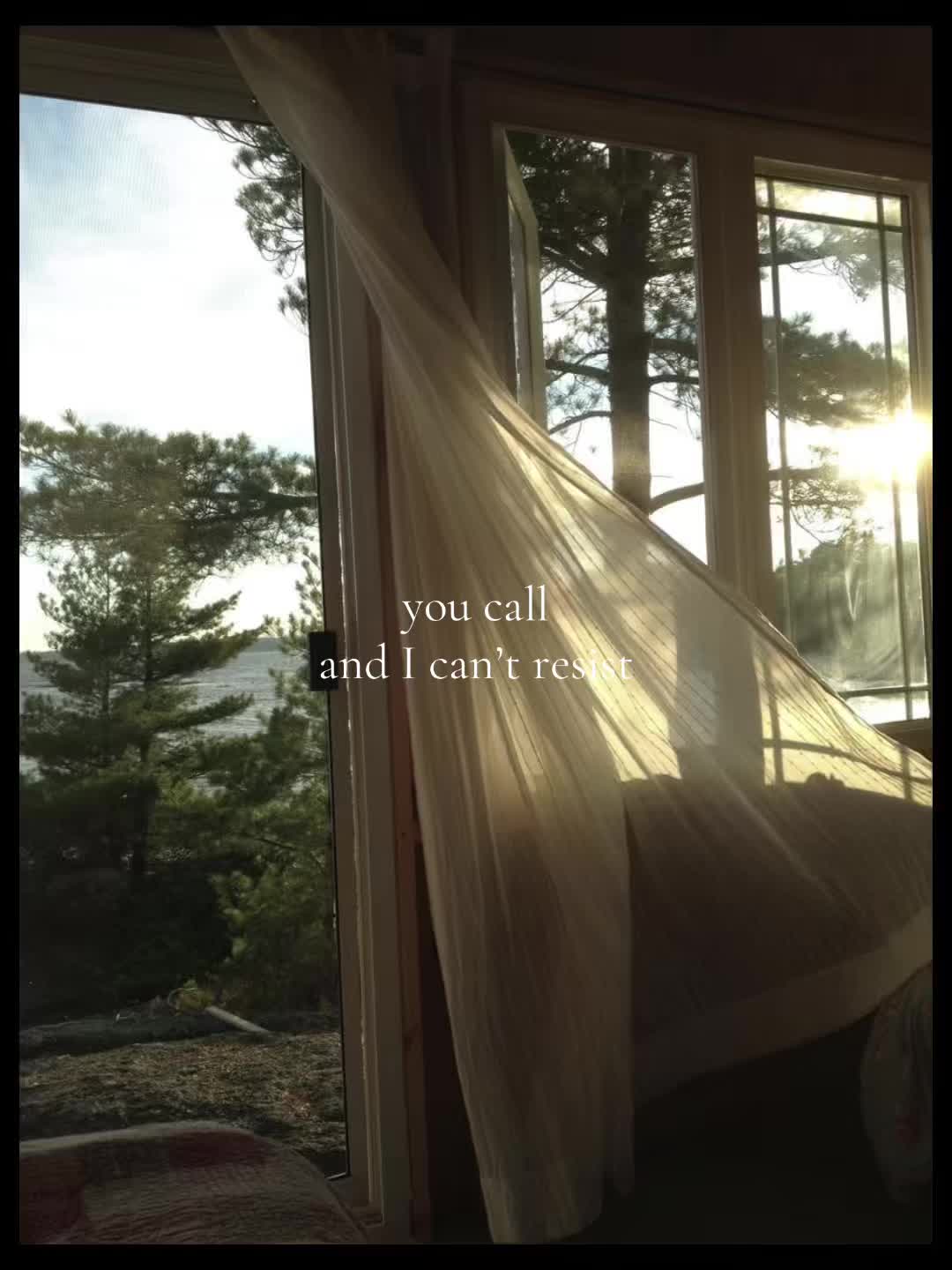 @softautumn