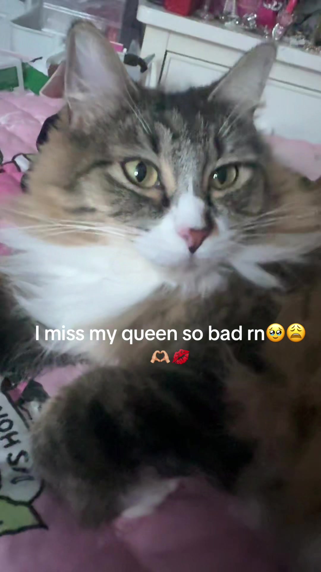 @elionathequeen_