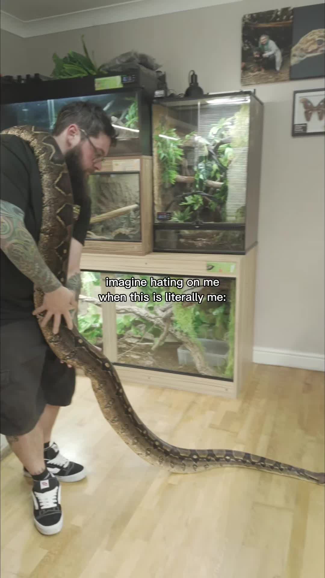 @T & N reptiles