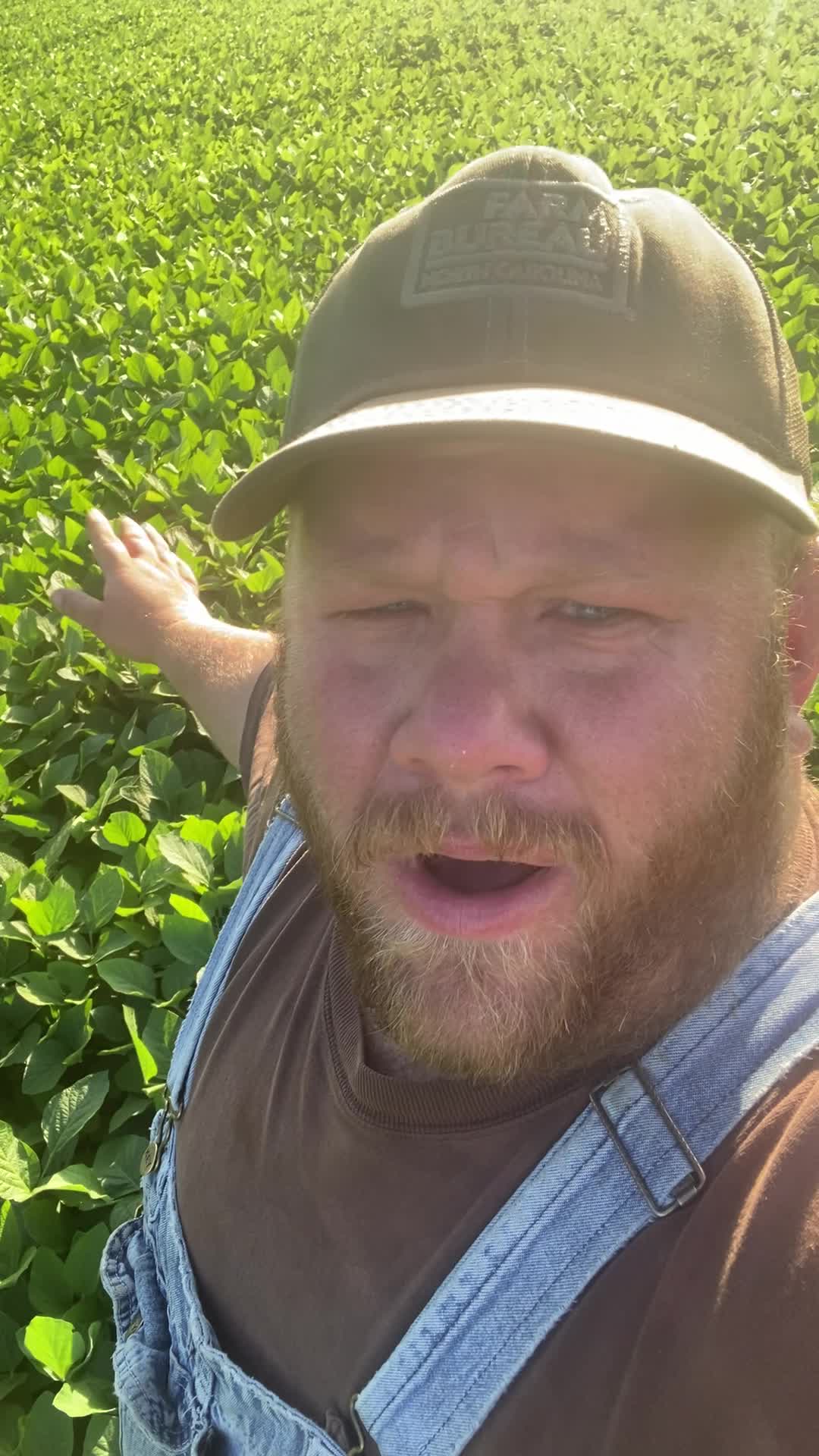 @Tarheel Farmer