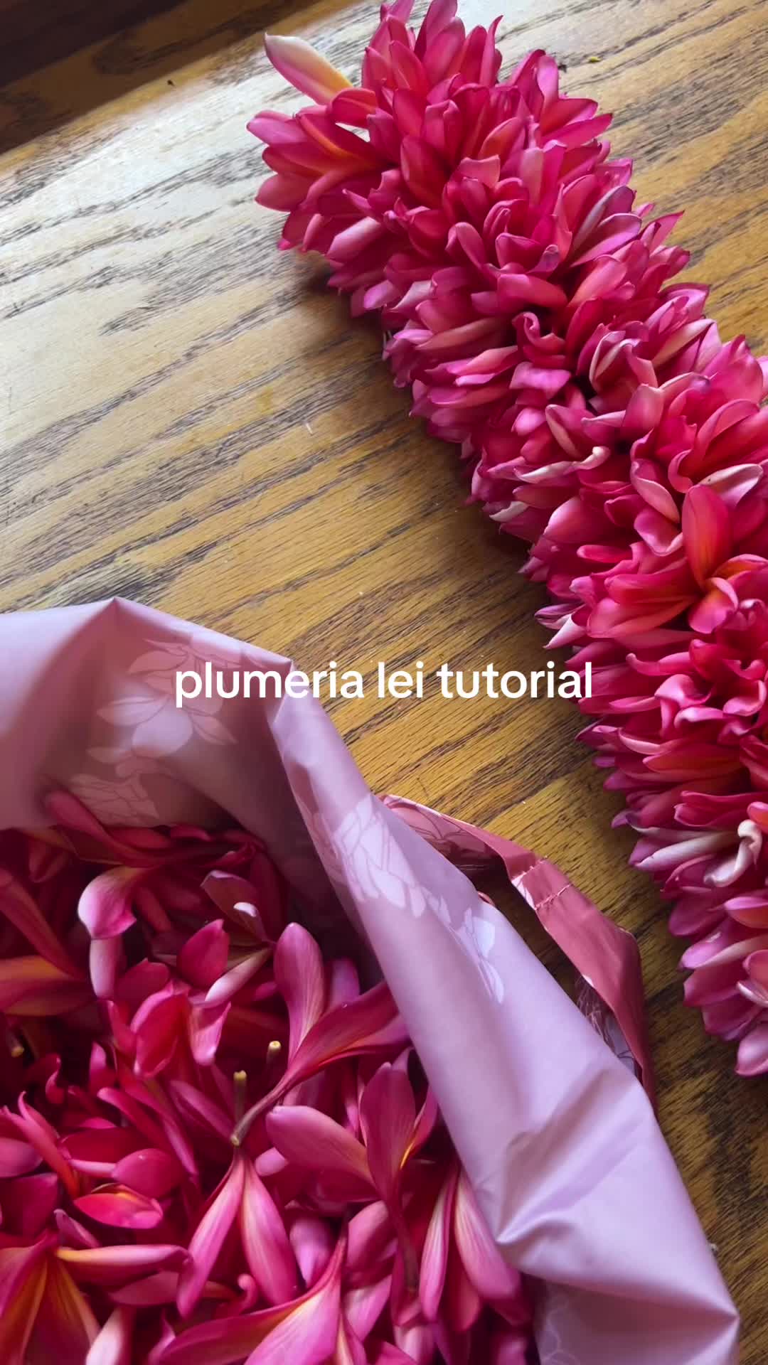 @Shoots Blooms