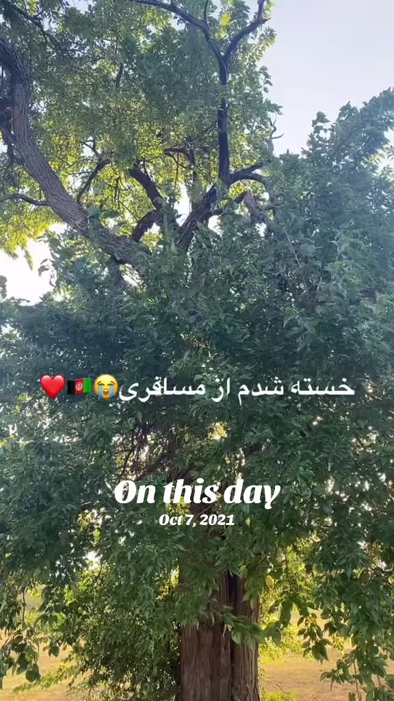@Sofia Sahar