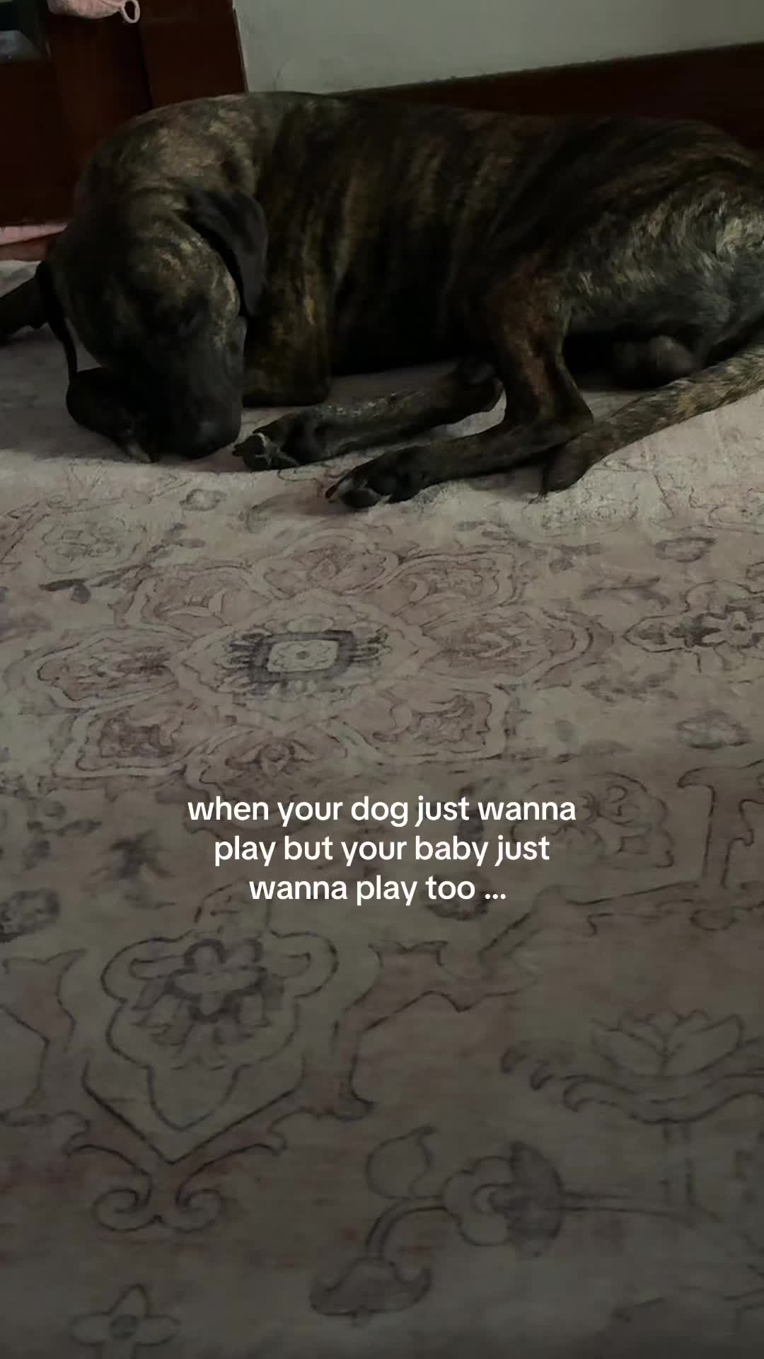 @delia.grantt