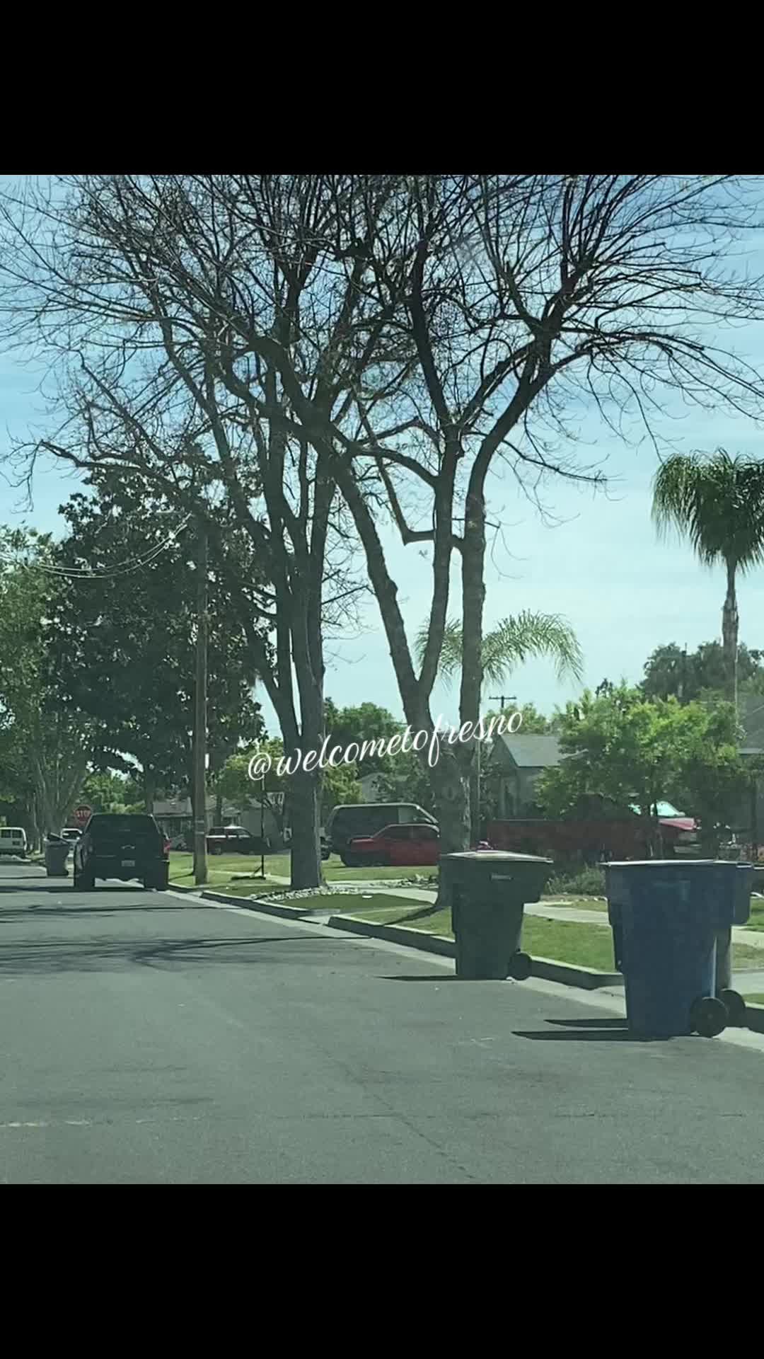 @Fresno tok