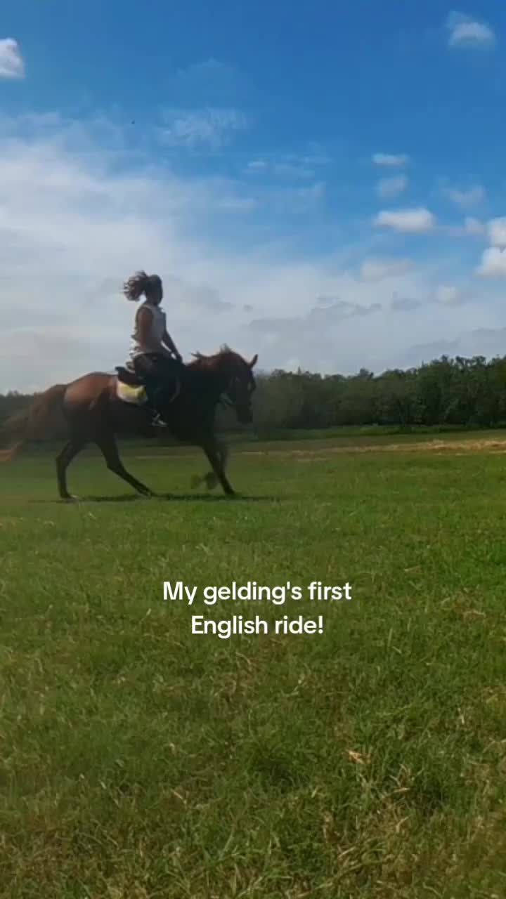 @Tetris_eq
