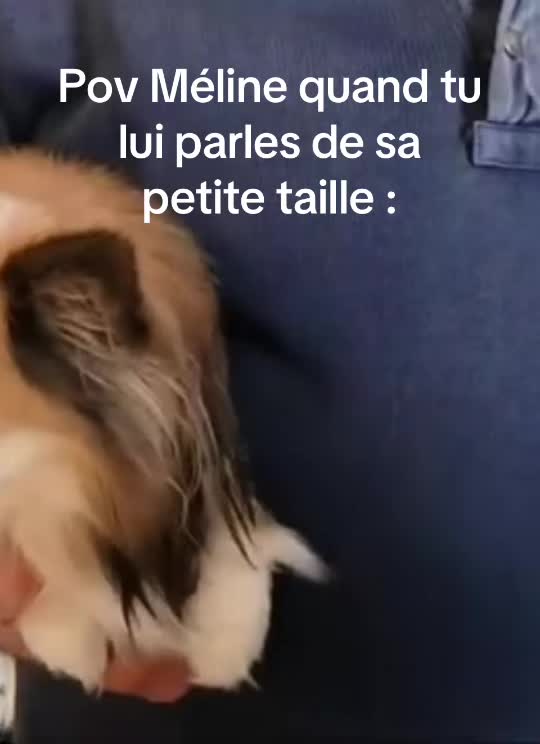 @anti-meline-chloé-louanne