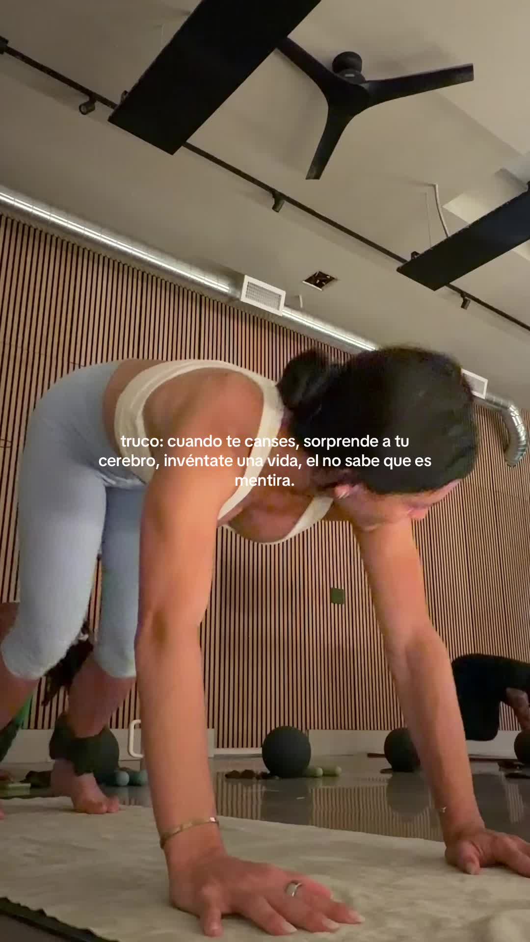 @Arrebol