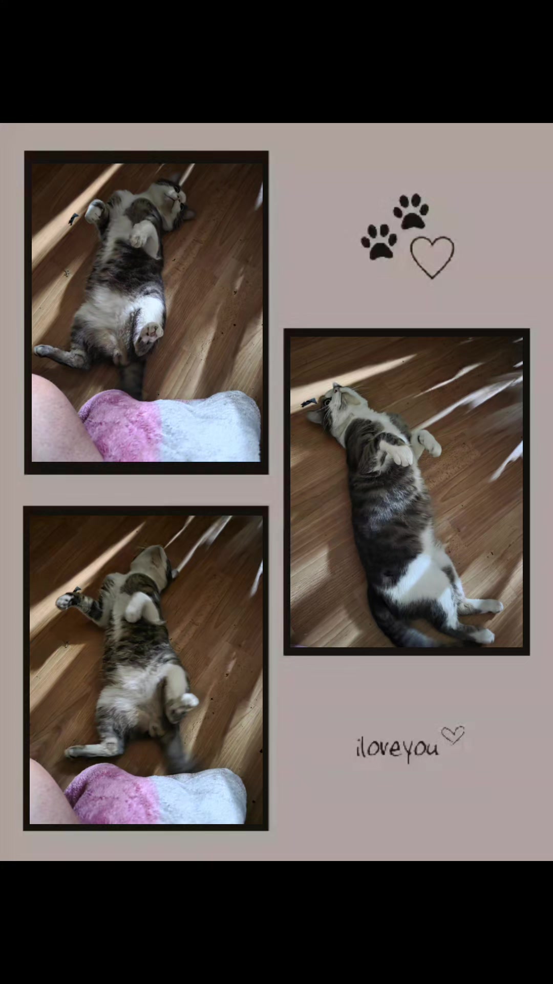 @๐ฆ๐ช~โญ๐ฌℜ๐น๐๐ฆ๐~๐ฉ๐ฆ๐ฆ๐ฆ