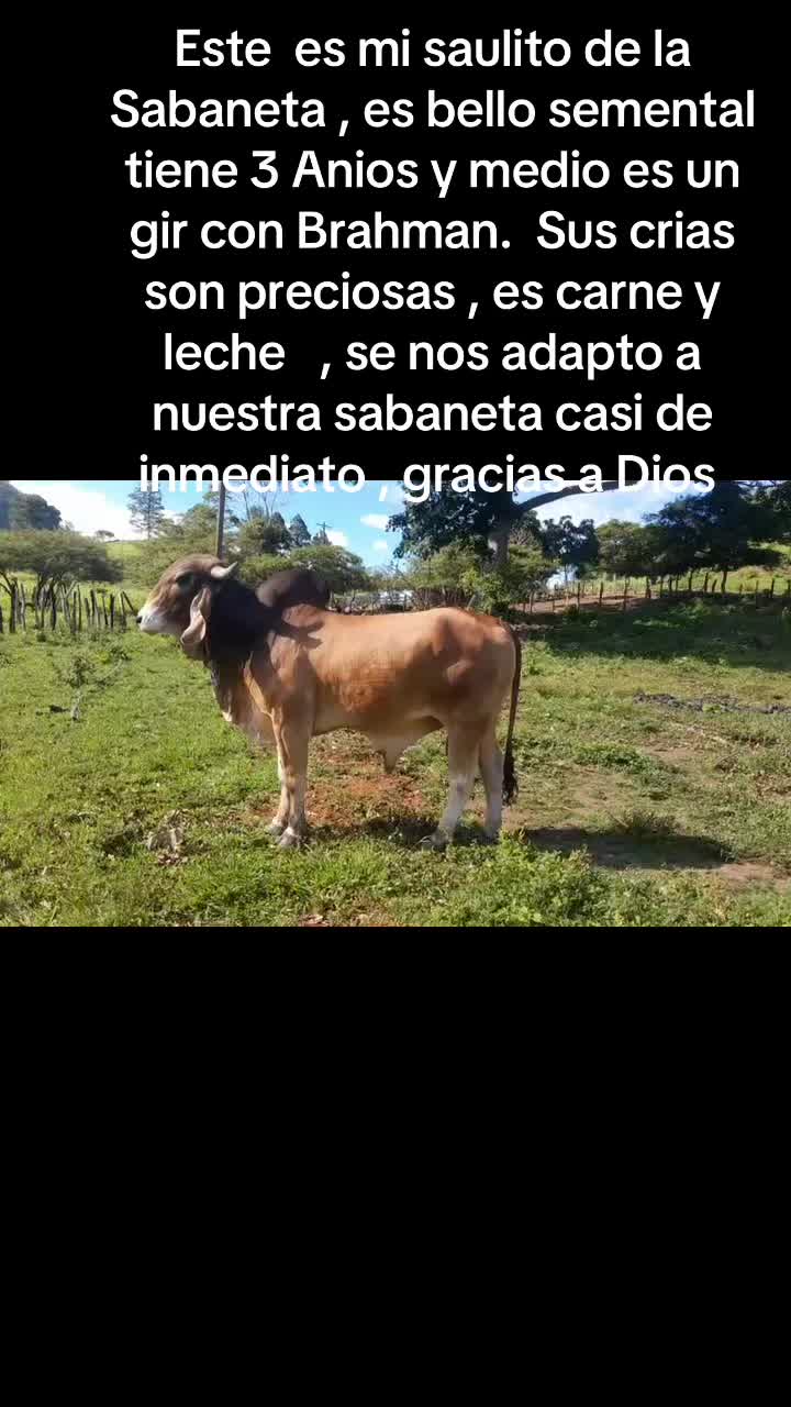 @user7944265819094
