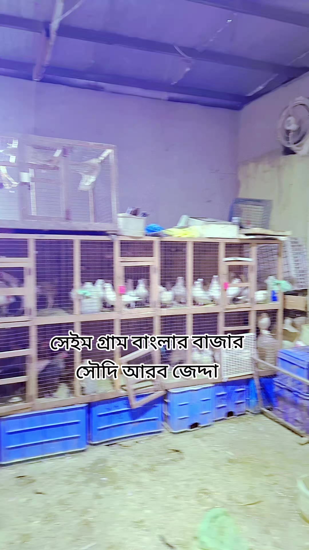 @🇧🇩🇸🇦সিলেট ওসমানীনগরের ফুয়া