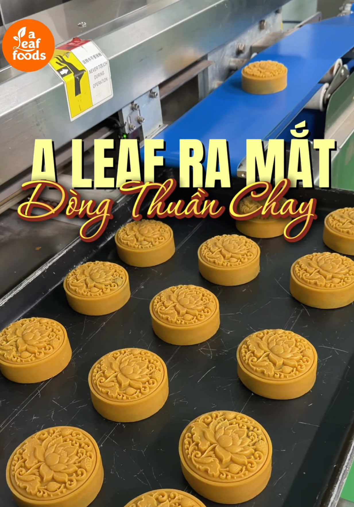 @A Leaf Foods
