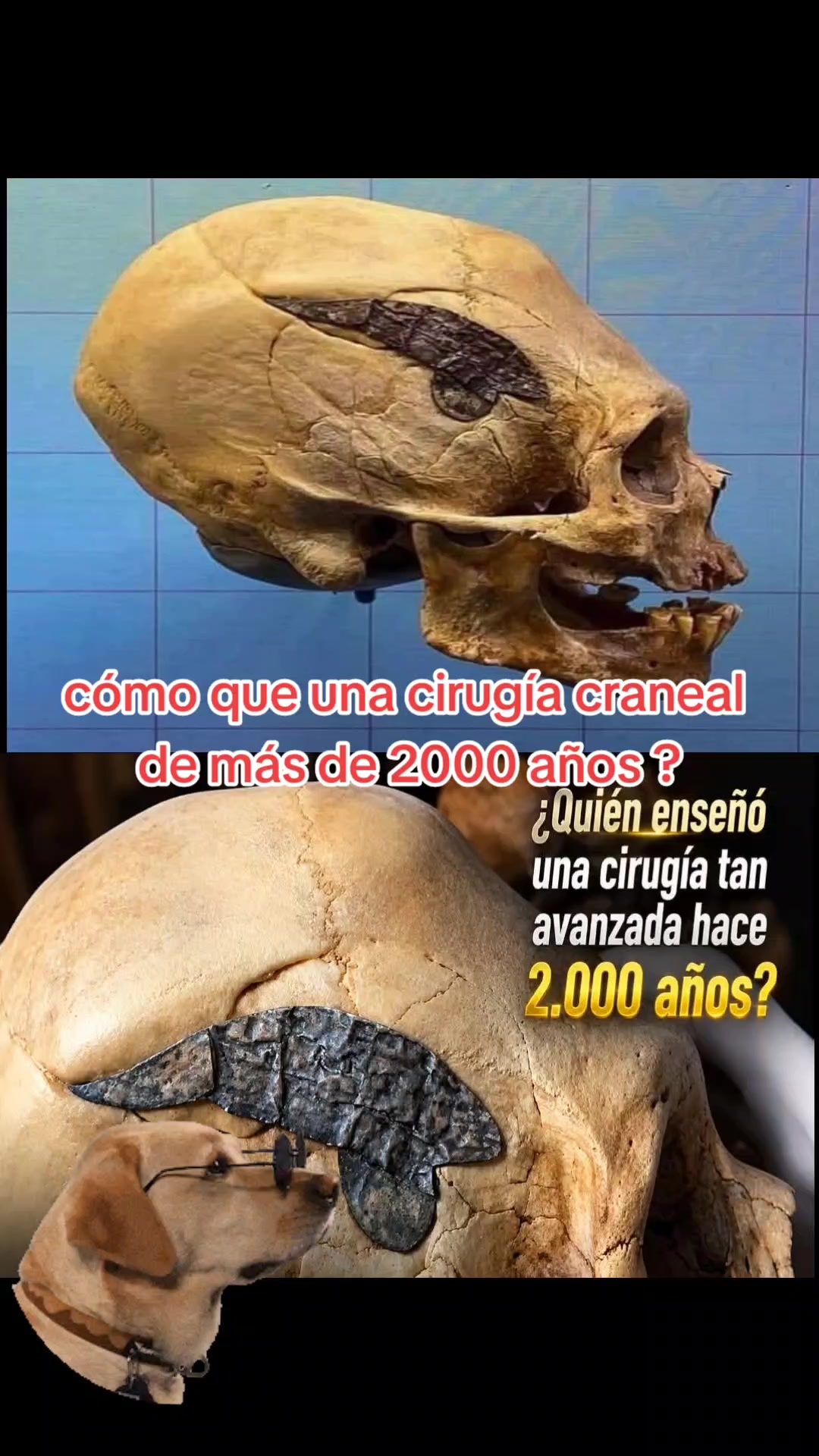 @ISAIAS CABALLERO DE LA LUZ