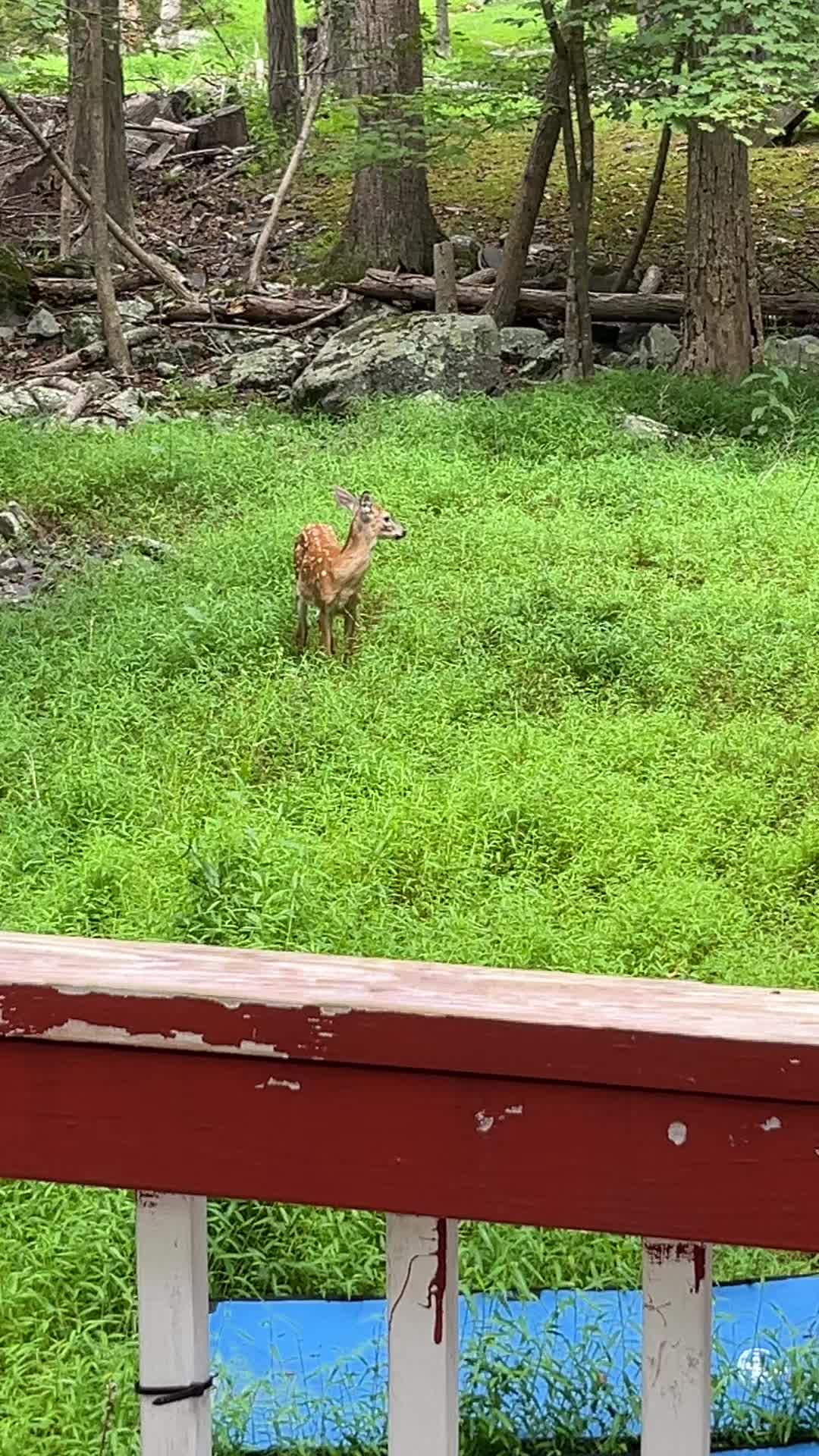 @Dj coolie Kartel NiteRiderz🦍