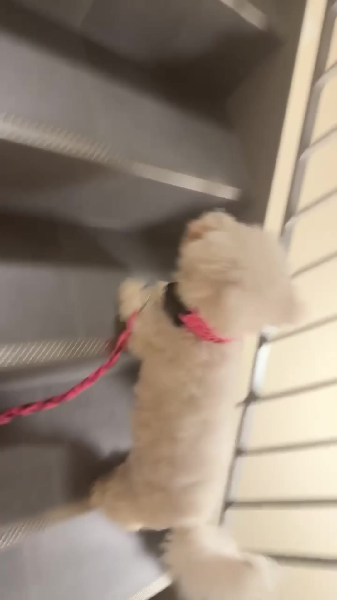 @❥𝒩𝒾𝓃𝒶ꨄ&rsquo;