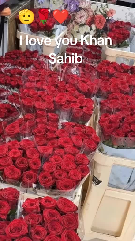 @Nabeela Germany 🇩🇪
