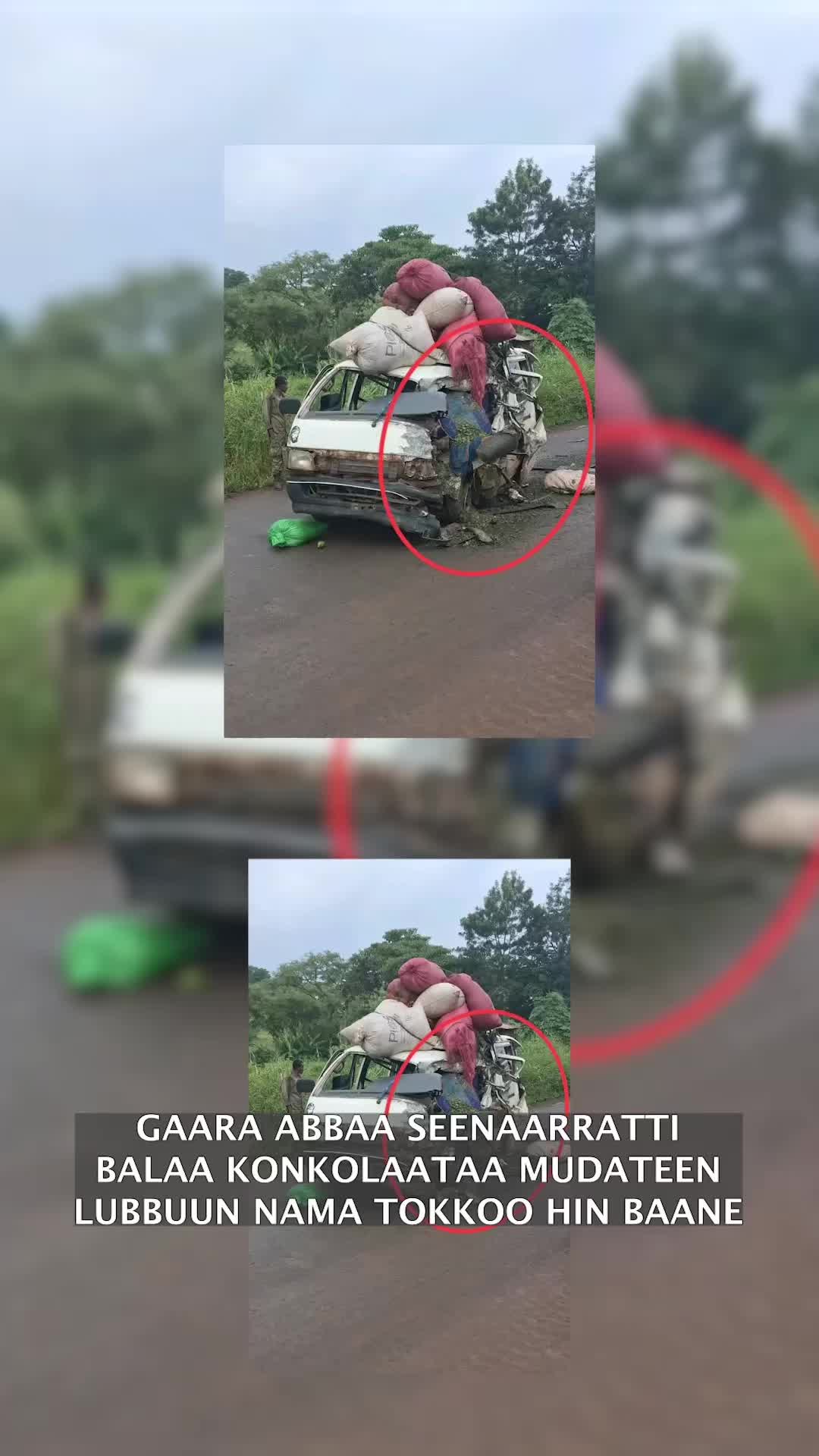 @EGEREE MEDIA