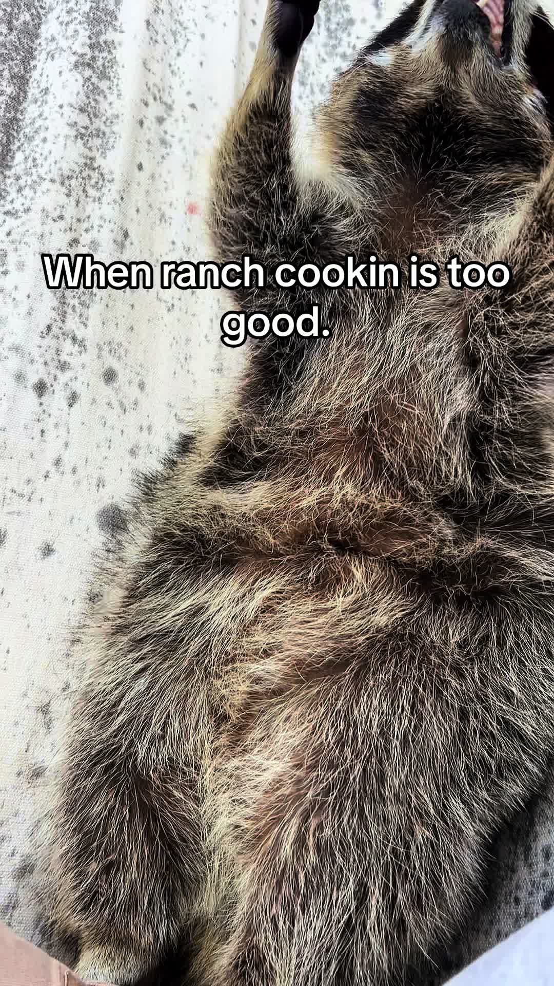 @draperranch