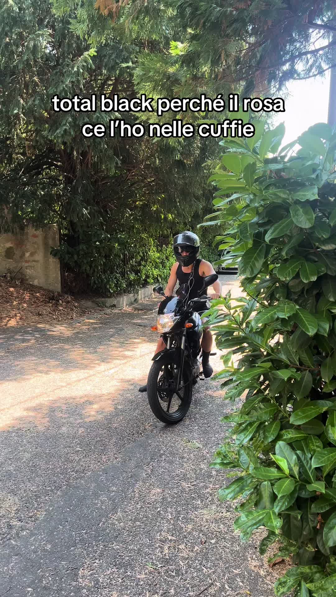 @gattinocattolico